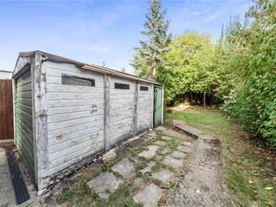 Picture 21